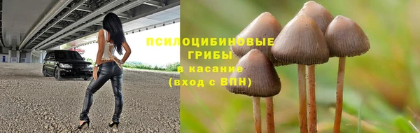 сатива Лиски